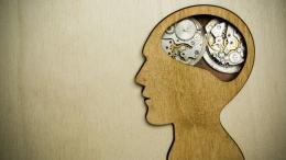 МРТ показала, как мозг воспринимает время