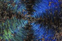 Александр Курилов - Поляризационный калейдоскоп