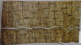 Берестяные грамоты из Новгорода опровергли миф о безграмотных крестьянах