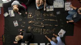 Загадка африканской пещеры: все найденные скелеты Homo naledi оказались женскими