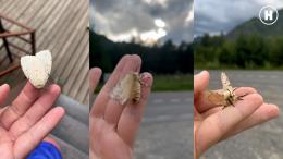 Иван Дубовский - 