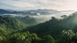 тропический лес и горы